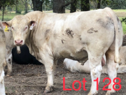 128