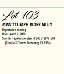 103-1